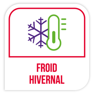 Froid hivernal