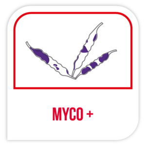 Myco +