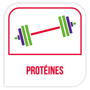 Protéines