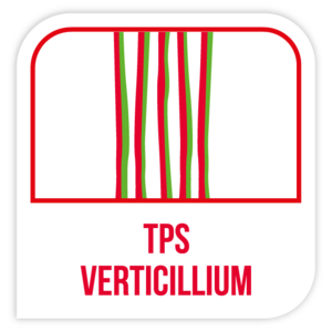 TPS Verticillium