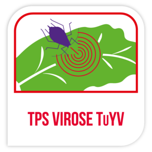 TPS virose TuYV