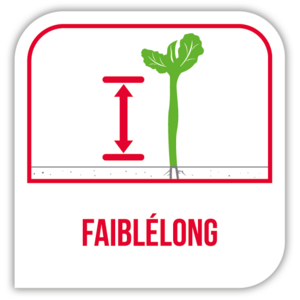 FaiblÉlong