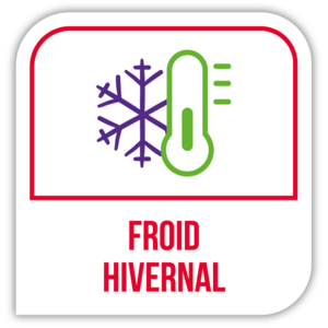 Froid hivernal