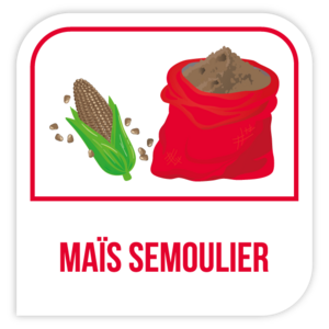 Maïs semoulier