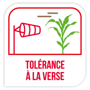 Tolérance verse