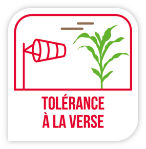 Tolérance verse