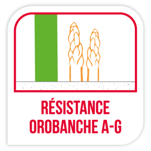 Résistance orobanche A-G