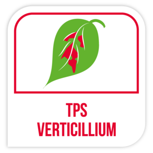 TPS verticillium