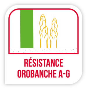 Résistance orobanche A-G