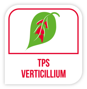 TPS verticillium