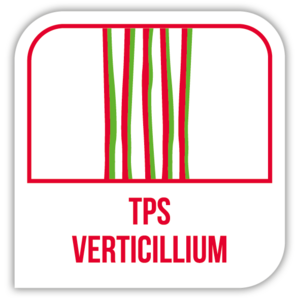 TPS Verticillium