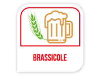 Brassicole