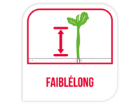 FaiblÉlong