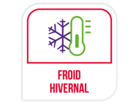 Froid hivernal