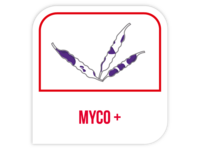 Myco +