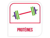 Protéines