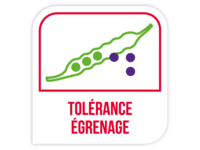 Tolérance égrenage