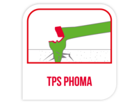 TPS phoma quantitative & spécifique