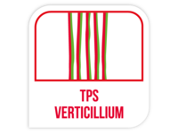 TPS Verticillium
