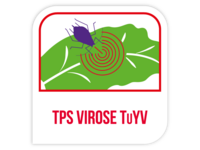 TPS virose TuYV