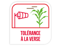 Tolérance verse