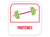 Protéines