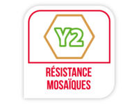 Résistance mosaïques