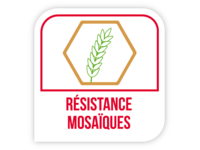 Résistance mosaïques