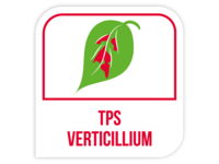 TPS verticillium