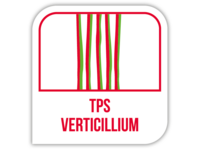 TPS Verticillium