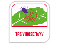 TPS virose TuYV