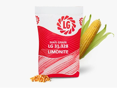 LG 31.328 LIMONITE Visuel