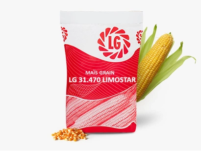 LG 31.470 LIMOSTAR Visuel