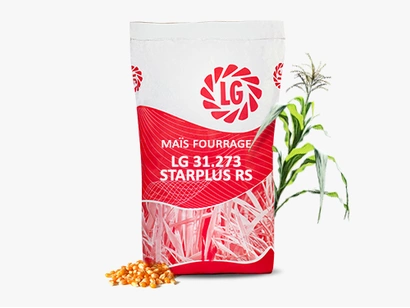LG 31.273 STARPLUS RS Visuel