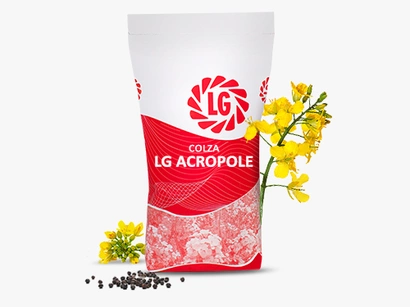 LG ACROPOLE Visuel