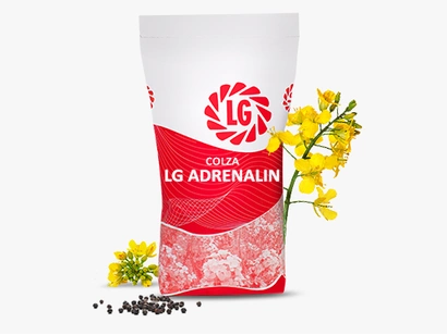 LG ADRENALIN Visuel