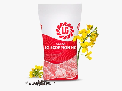 LG SCORPION Visuel