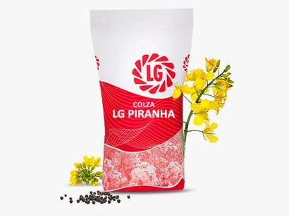 LG PIRANHA Visuel