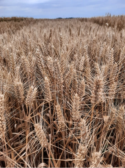 LG AIRFORCE- Nouveauté 2026 Visuel