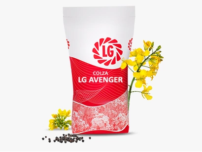 LG AVENGER Visuel