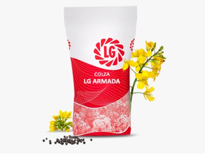 LG ARMADA Visuel