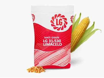 LG 31.530 LIMACELO Visuel
