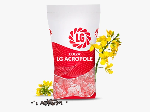 LG ACROPOLE