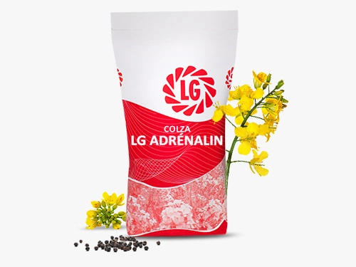 LG ADRENALIN