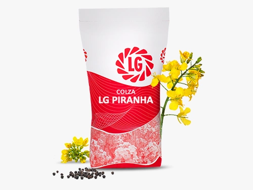 LG PIRANHA