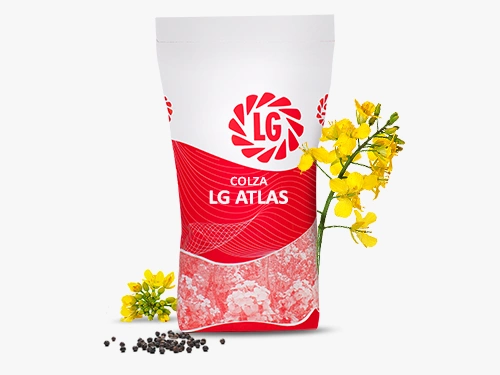 LG ATLAS