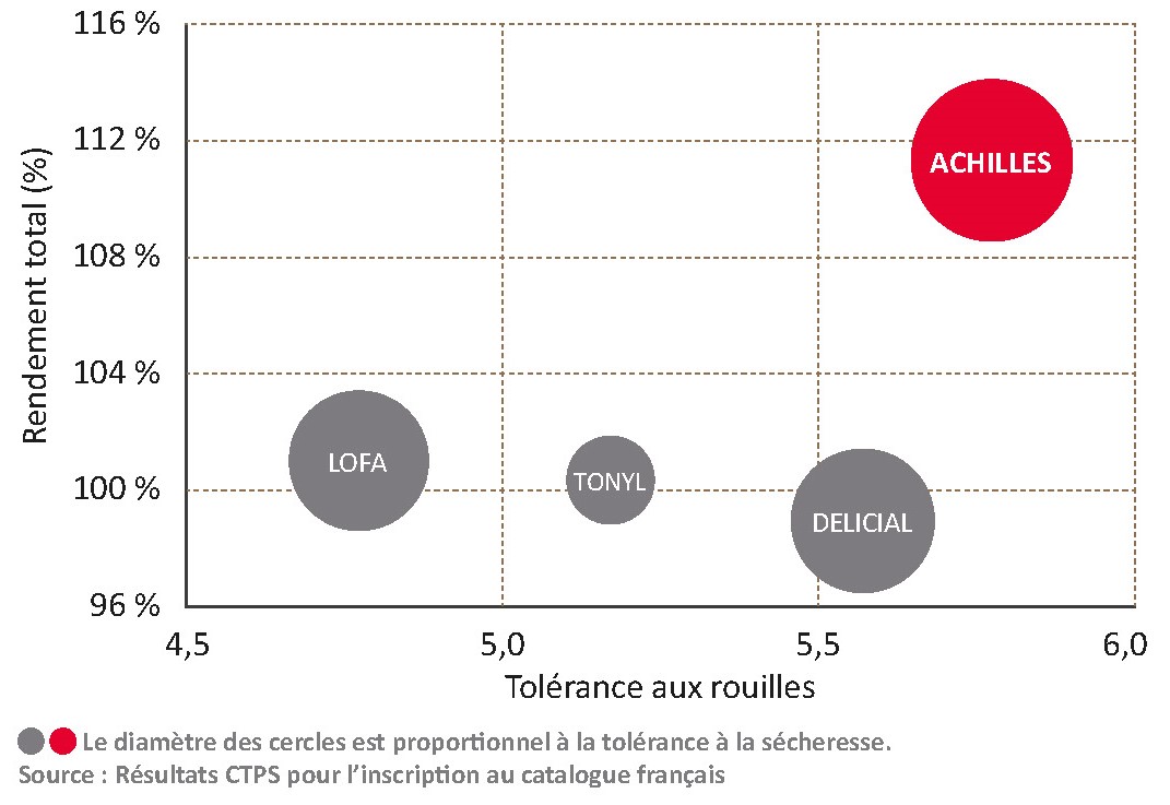 Performances de la variété face aux témoins CTPS