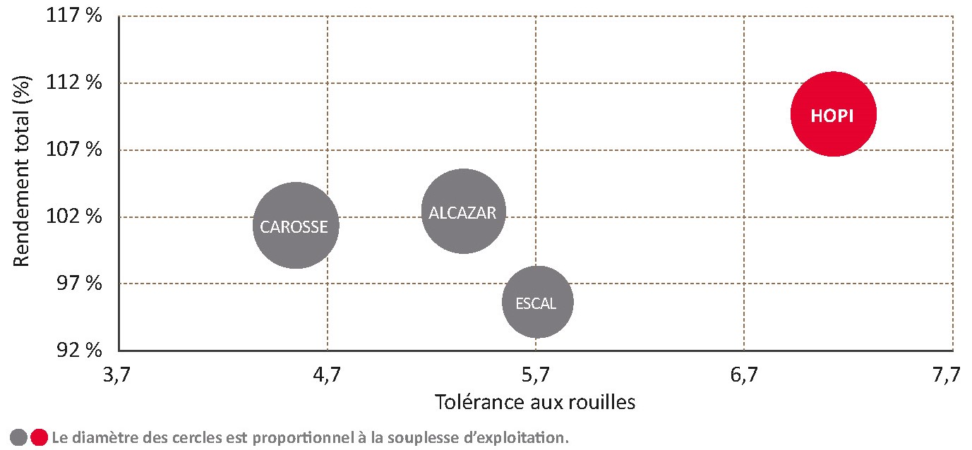 Performances de la variété face aux témoins CTPS