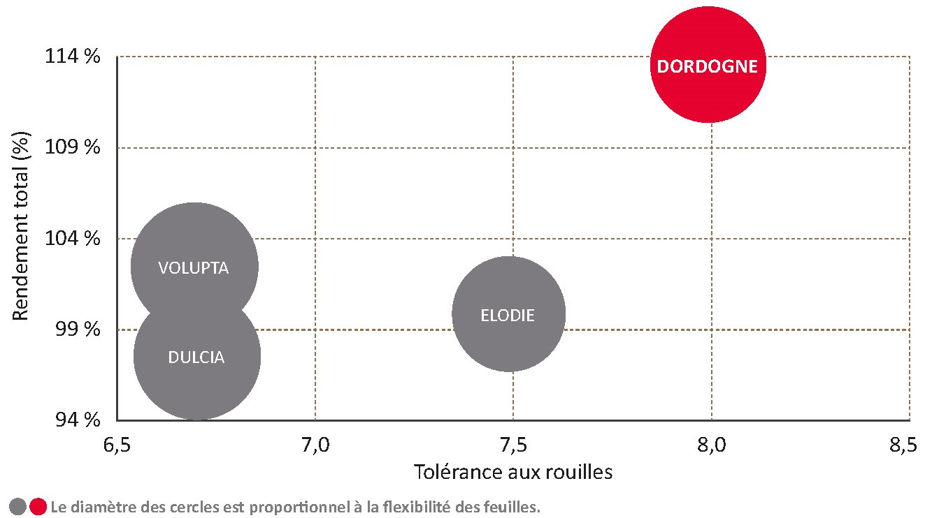 Performances de la variété face aux témoins CTPS