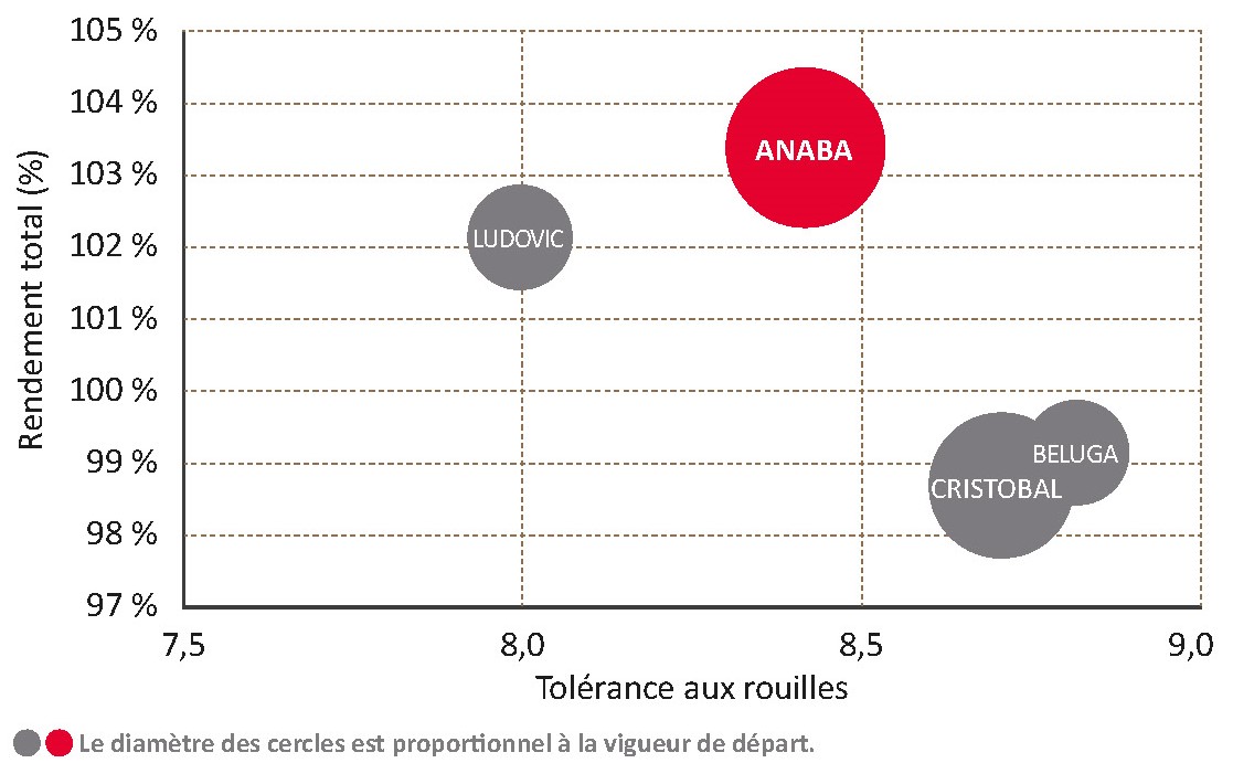 Performances de la variété face aux témoins CTPS